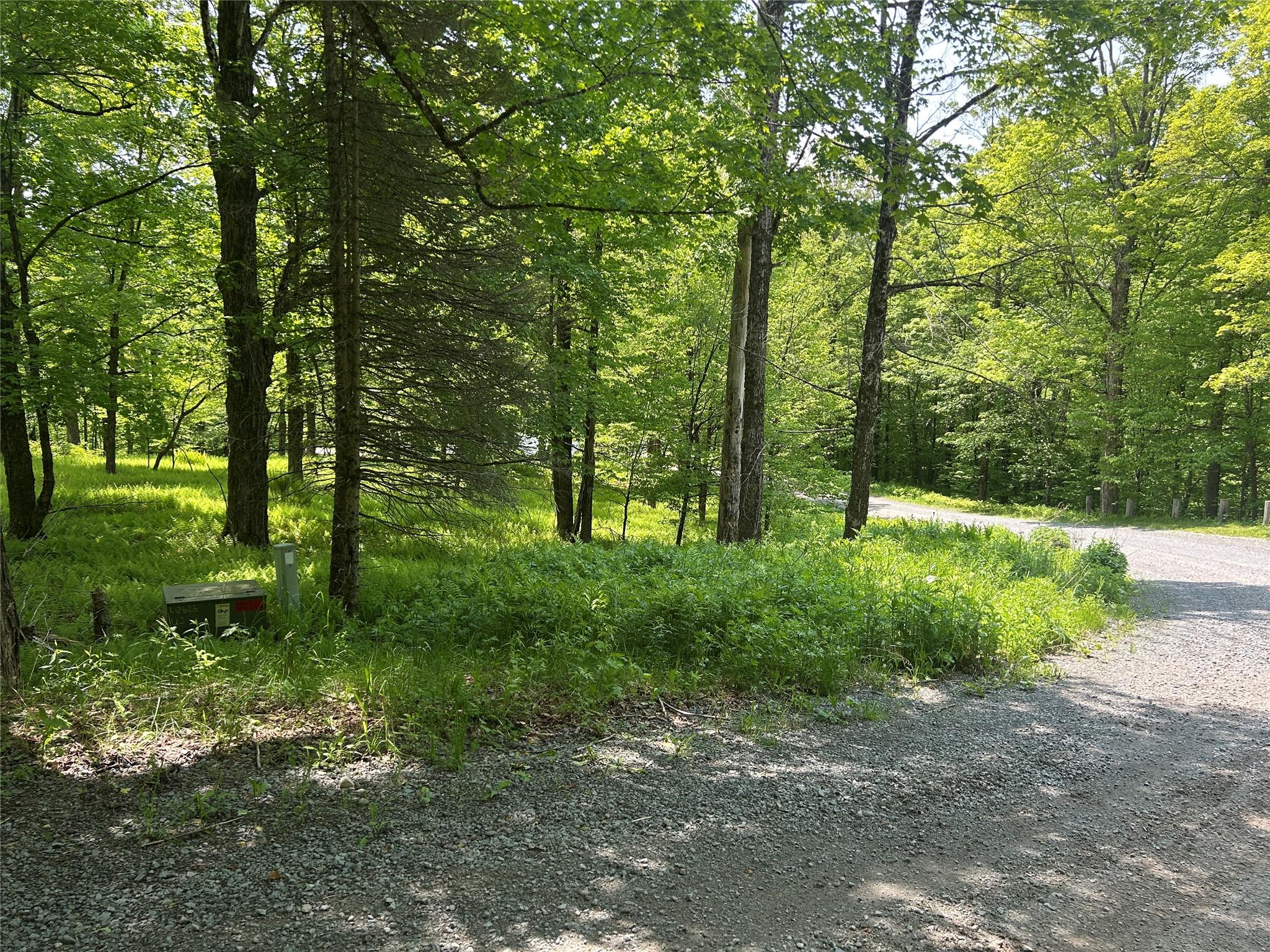 Tbd High Meadow Road Livingston Manor, NY 12758 - Photo 14 of 23 a view of outdoor space and trees