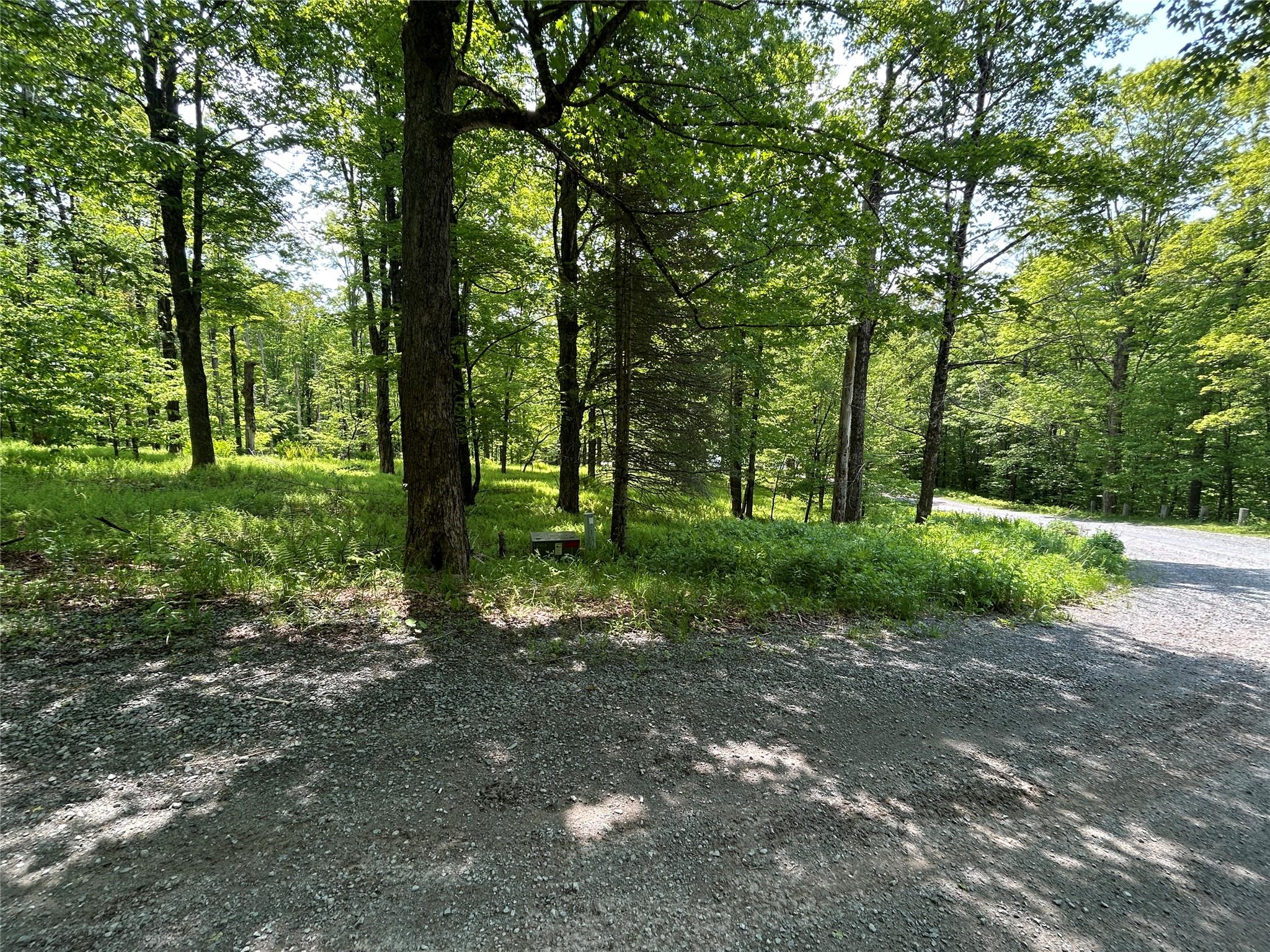 Tbd High Meadow Road Livingston Manor, NY 12758 - Photo 15 of 23 a view of a park that has large trees