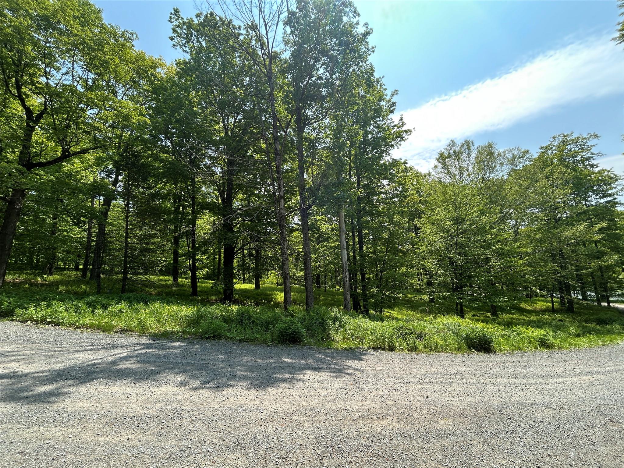 Tbd High Meadow Road Livingston Manor, NY 12758 - Photo 16 of 23 a view of a out door space area
