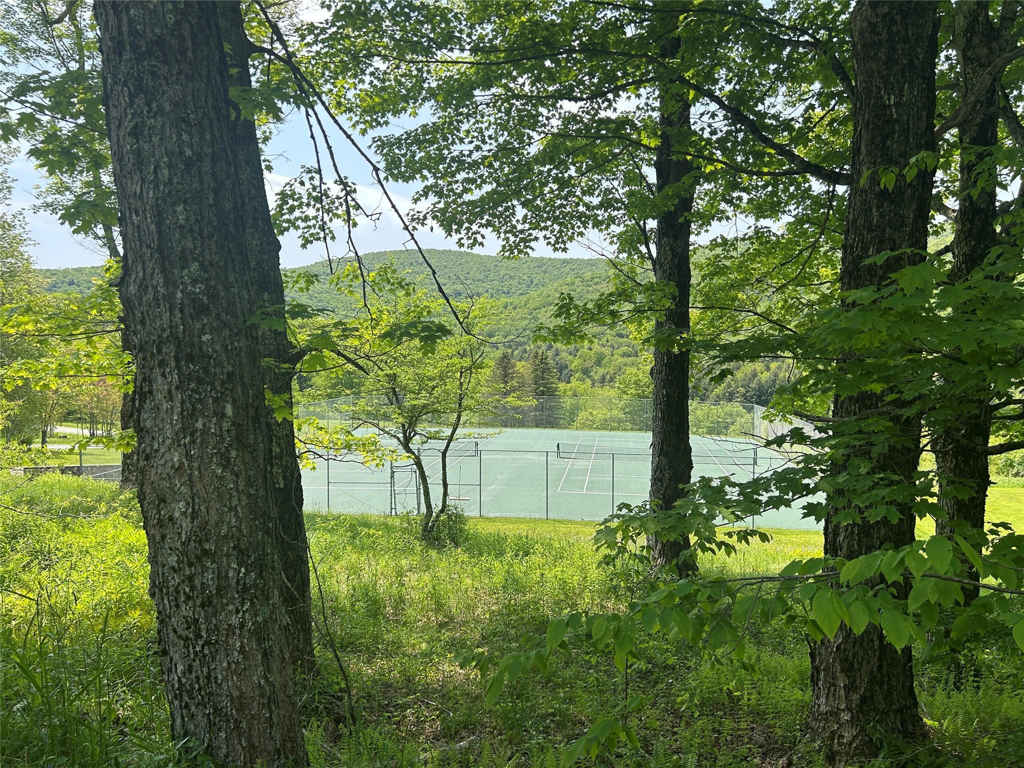 Tbd High Meadow Road Livingston Manor, NY 12758 - Photo 20 of 23 a view of backyard with tree