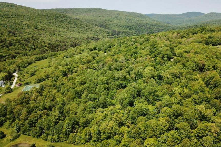 Tbd High Meadow Road Livingston Manor, NY 12758 - Photo 2 of 23 a view of a lush green field with a mountain in the background