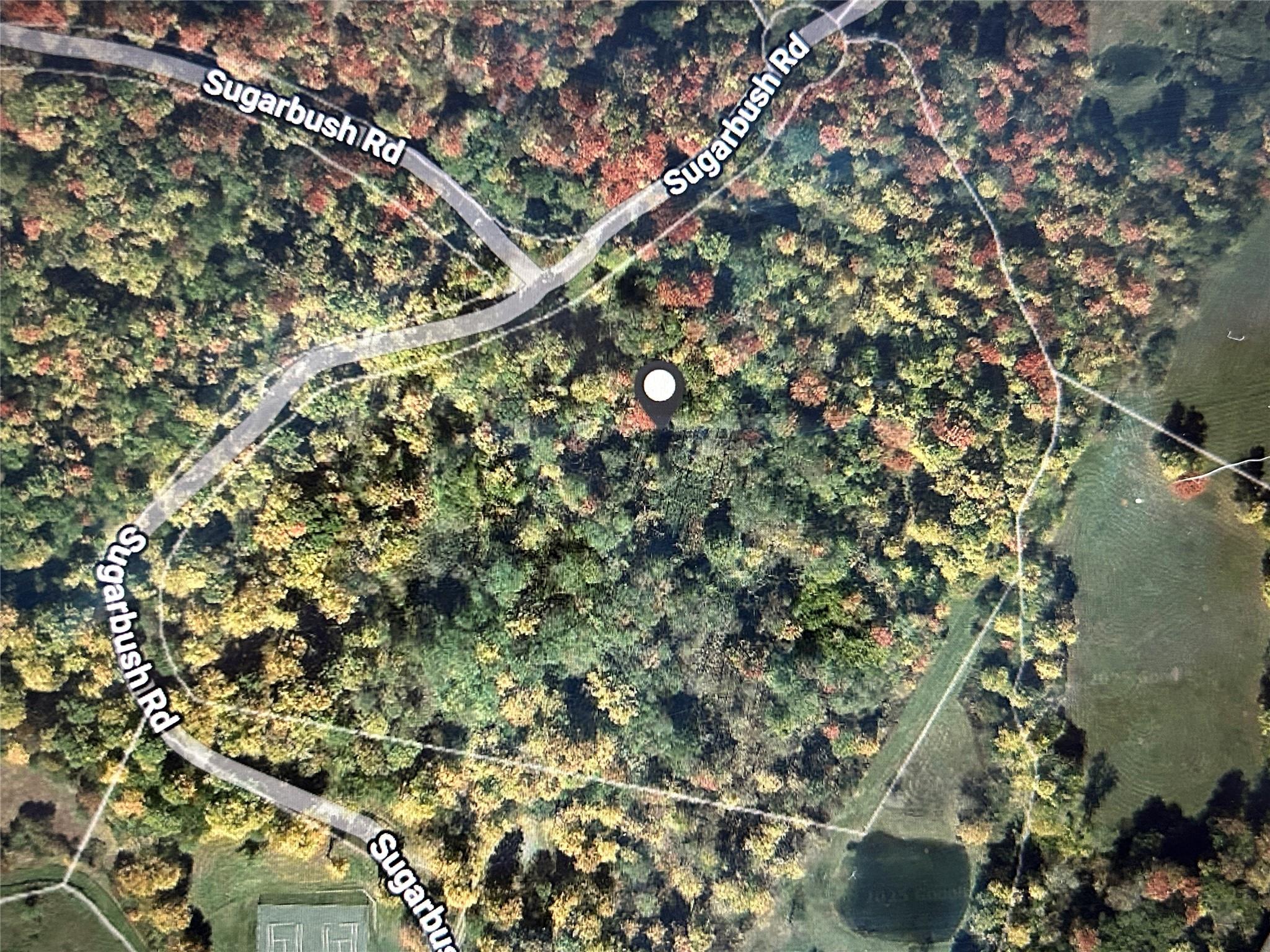 Tbd High Meadow Road Livingston Manor, NY 12758 - Photo 22 of 23 a close up of a tree