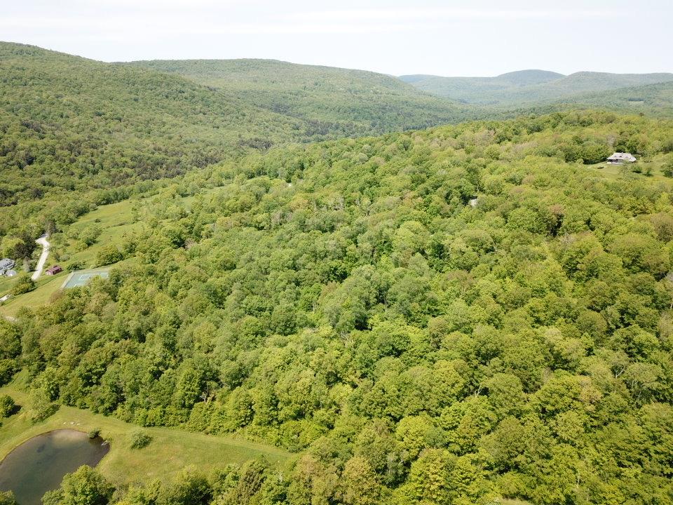Tbd High Meadow Road Livingston Manor, NY 12758 - Photo 3 of 23 a view of a lush green hillside and a houses