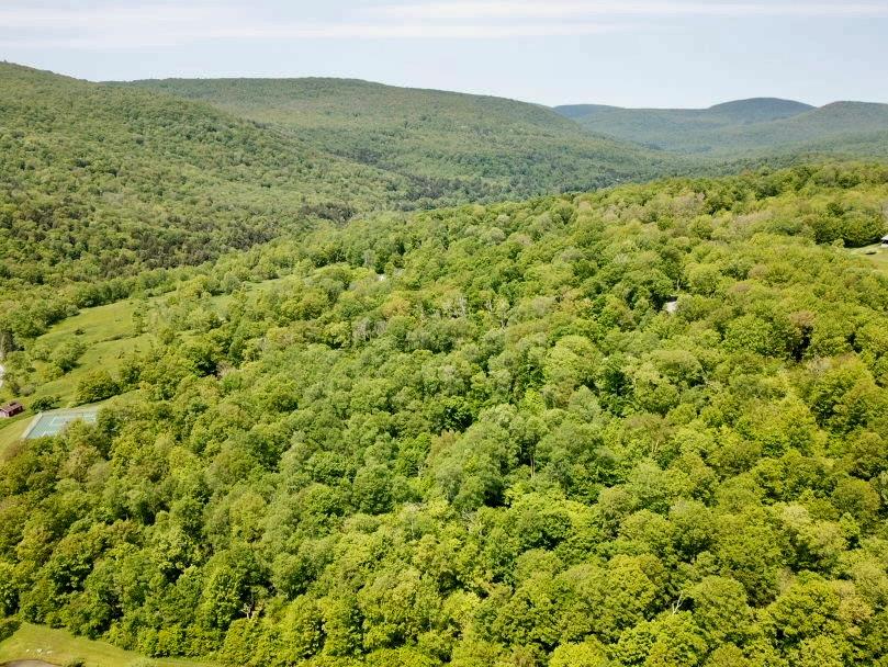 Tbd High Meadow Road Livingston Manor, NY 12758 - Photo 4 of 23 a view of a lush green hillside and a mountain