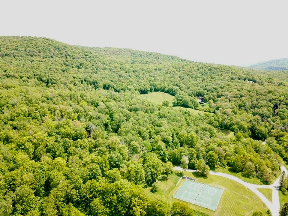 Tbd High Meadow Road Livingston Manor, NY 12758 - Photo 5 of 23 a view of a green field with lots of bushes