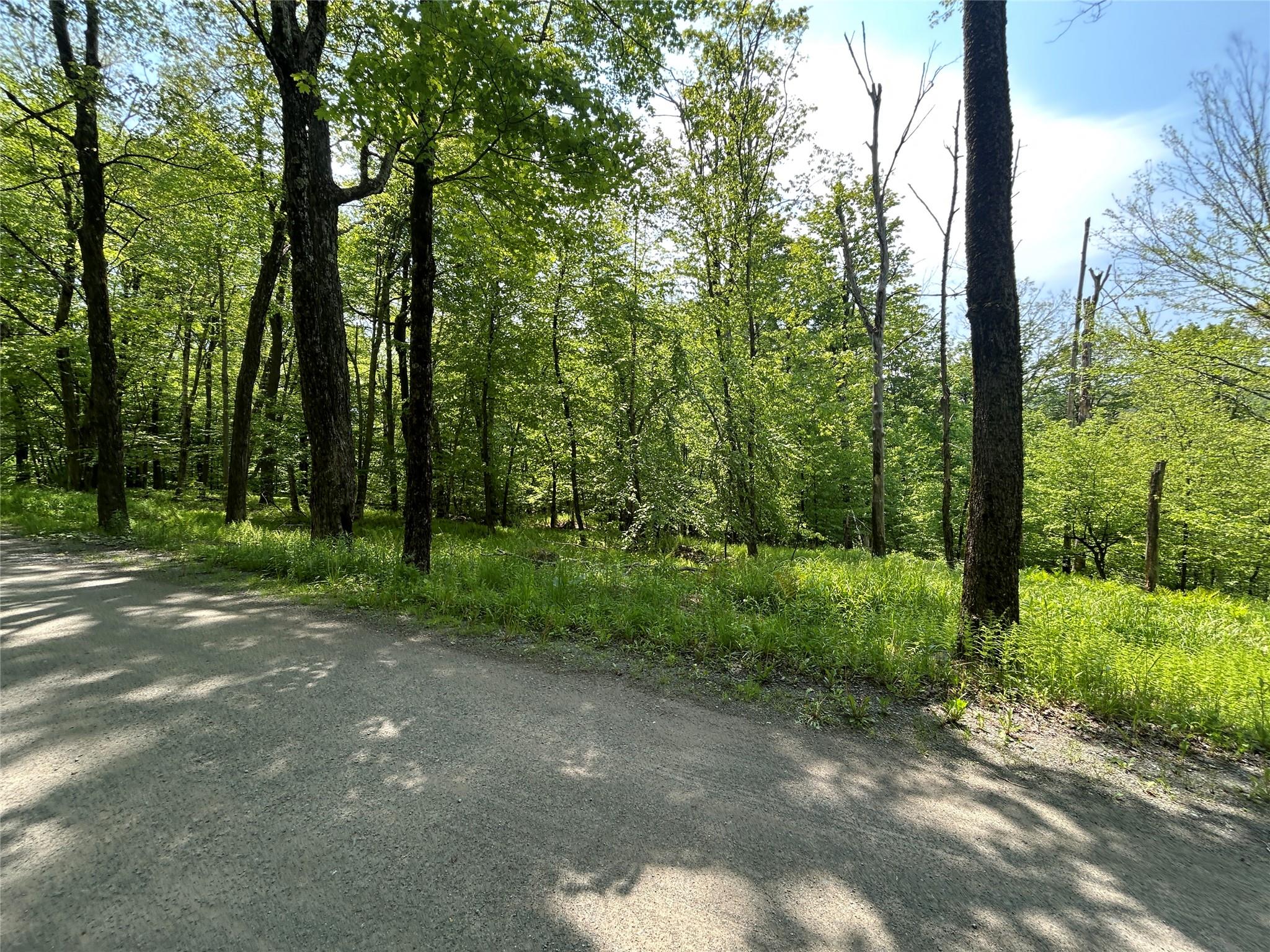 Tbd High Meadow Road Livingston Manor, NY 12758 - Photo 6 of 23 a view of a forest with trees