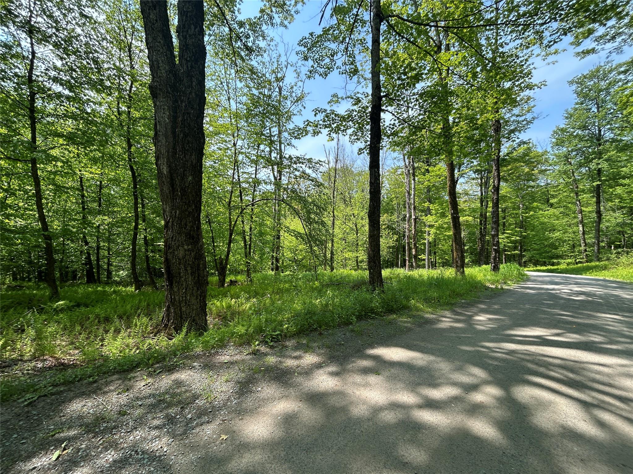 Tbd High Meadow Road Livingston Manor, NY 12758 - Photo 8 of 23 a view of a forest