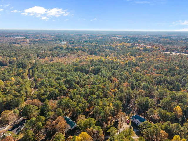 a view of a city with lush green forest