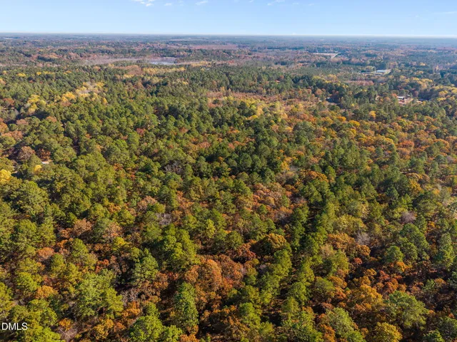 a view of city and mountain