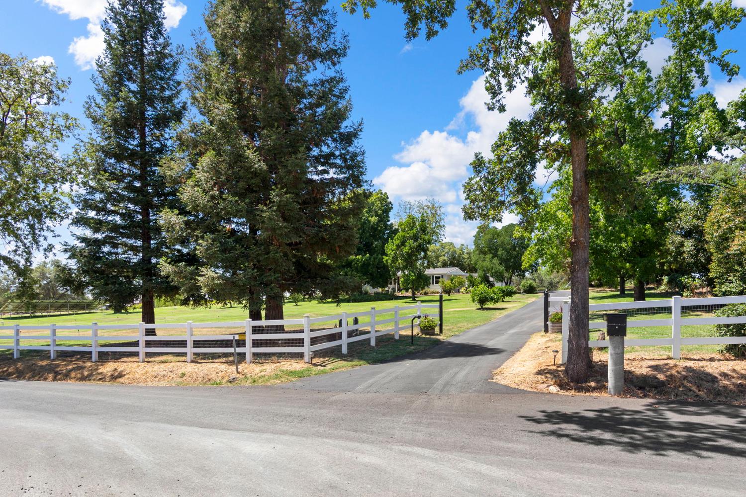 4245 Burnett Road Lincoln, CA 95648 - Photo 3 of 80