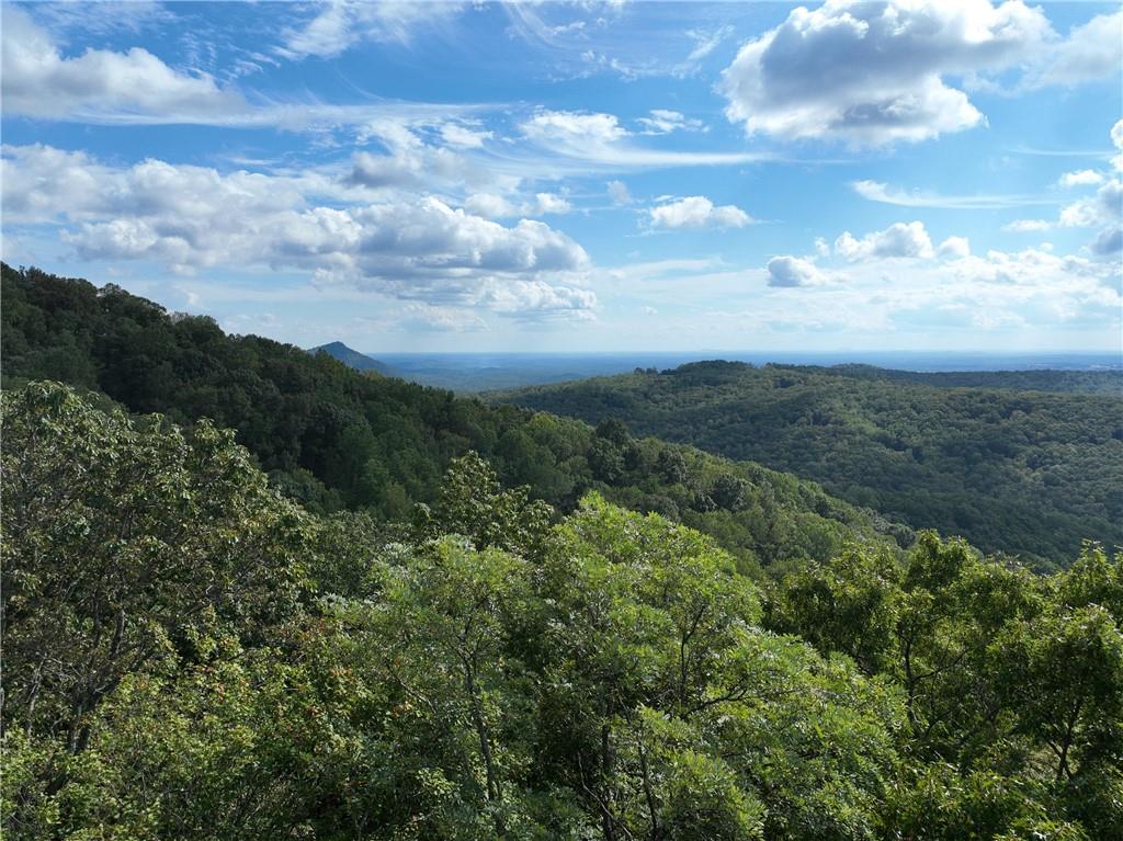30 Andes Ridge Jasper, GA 30143 - Photo 15 of 15