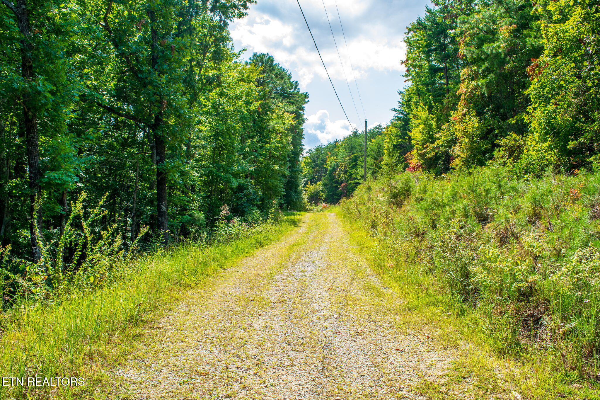 Smithfield Road Tellico Plains, TN 37385 - Photo 5 of 10 homesandvideos aerials-12962