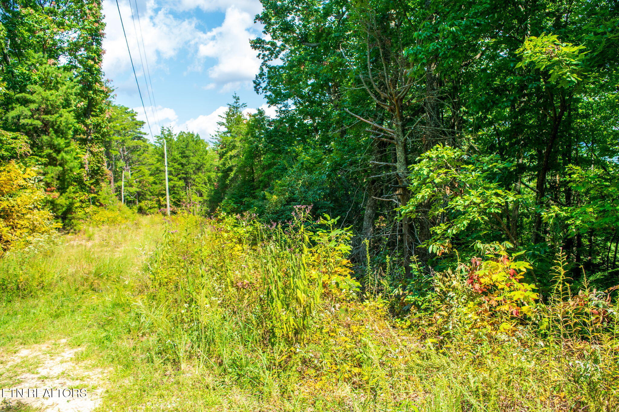 Smithfield Road Tellico Plains, TN 37385 - Photo 6 of 10 homesandvideos aerials-12957