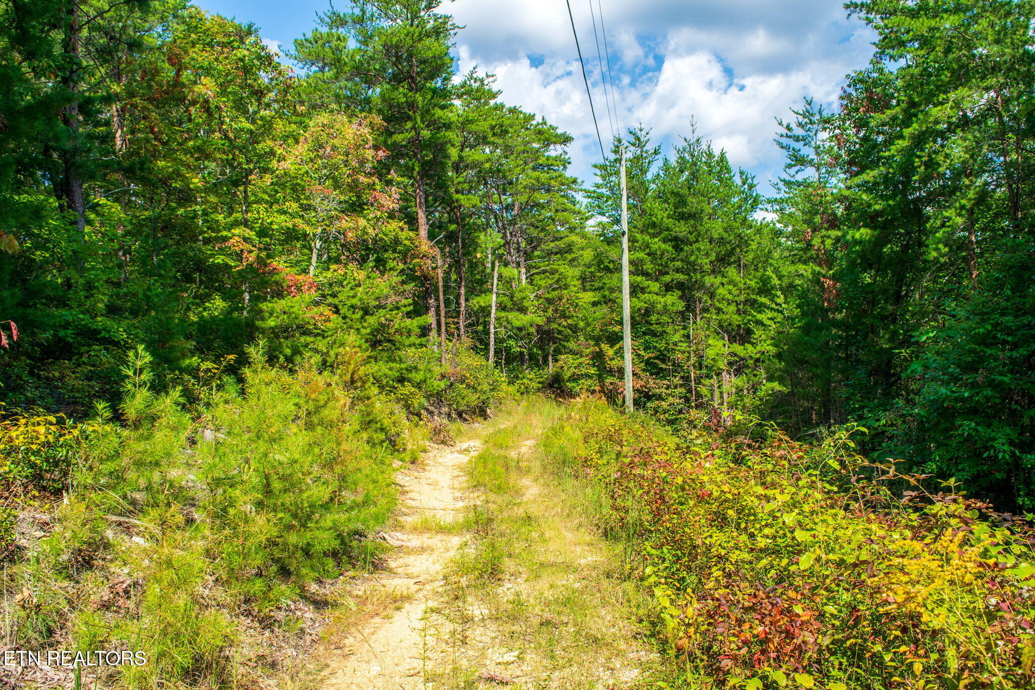 Smithfield Road Tellico Plains, TN 37385 - Photo 8 of 10 homesandvideos aerials-12955