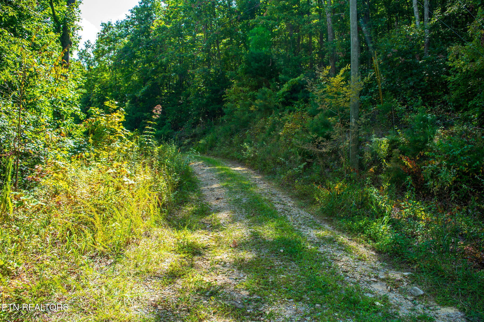 Smithfield Road Tellico Plains, TN 37385 - Photo 9 of 10 homesandvideos aerials-12954