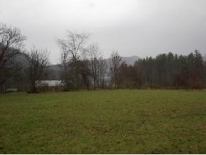 0 Ed Lewis Road Hampton, TN 37658 - Photo 1 of 4 Photo 1