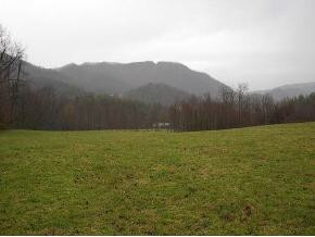 0 Ed Lewis Road Hampton, TN 37658 - Photo 3 of 4 Photo 3