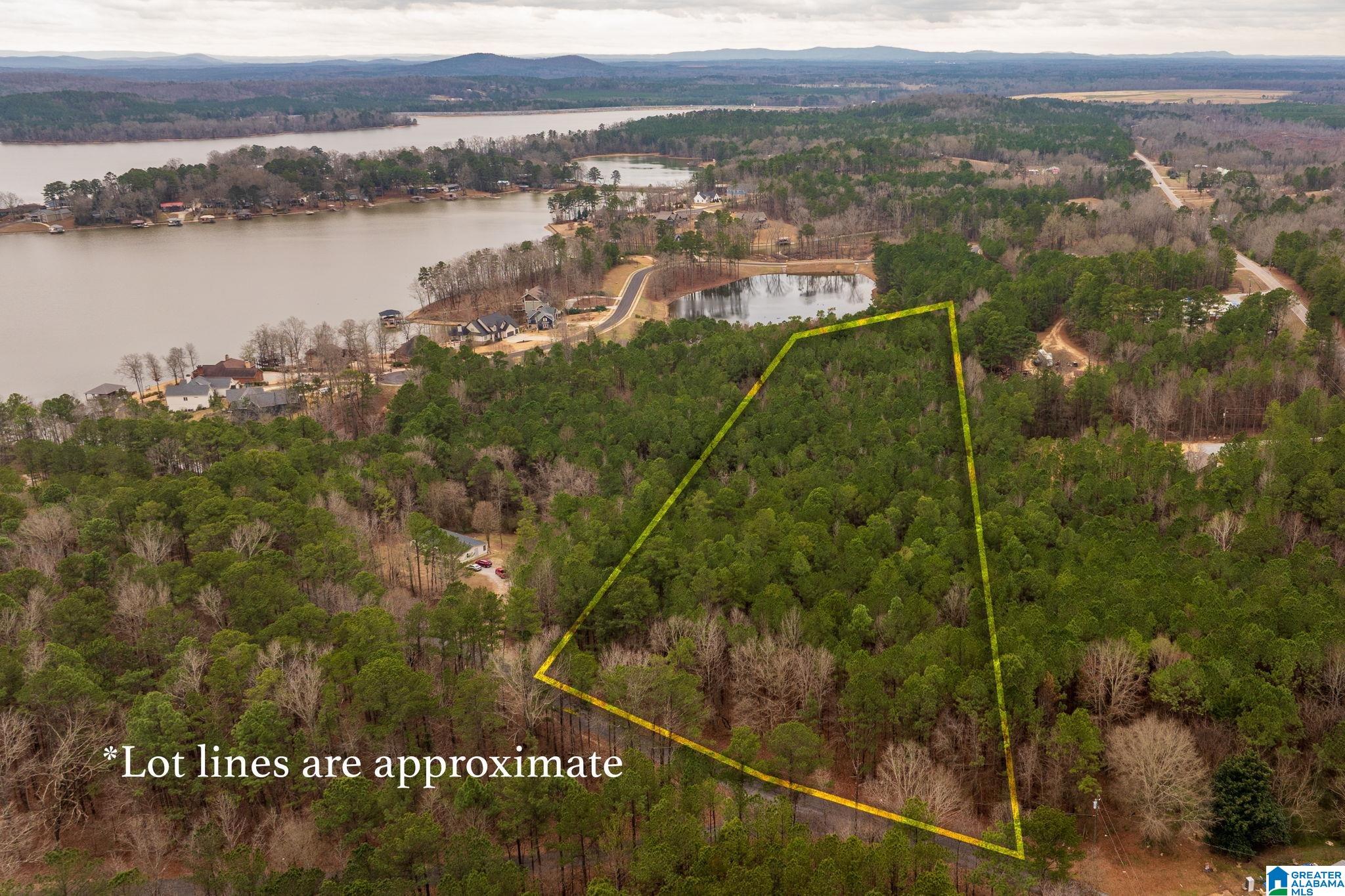 0 Frankies Road Vincent, AL 35178 - Photo 3 of 11 Gallery Image 3