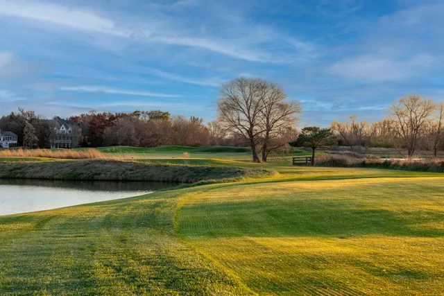 a view of park along with trees