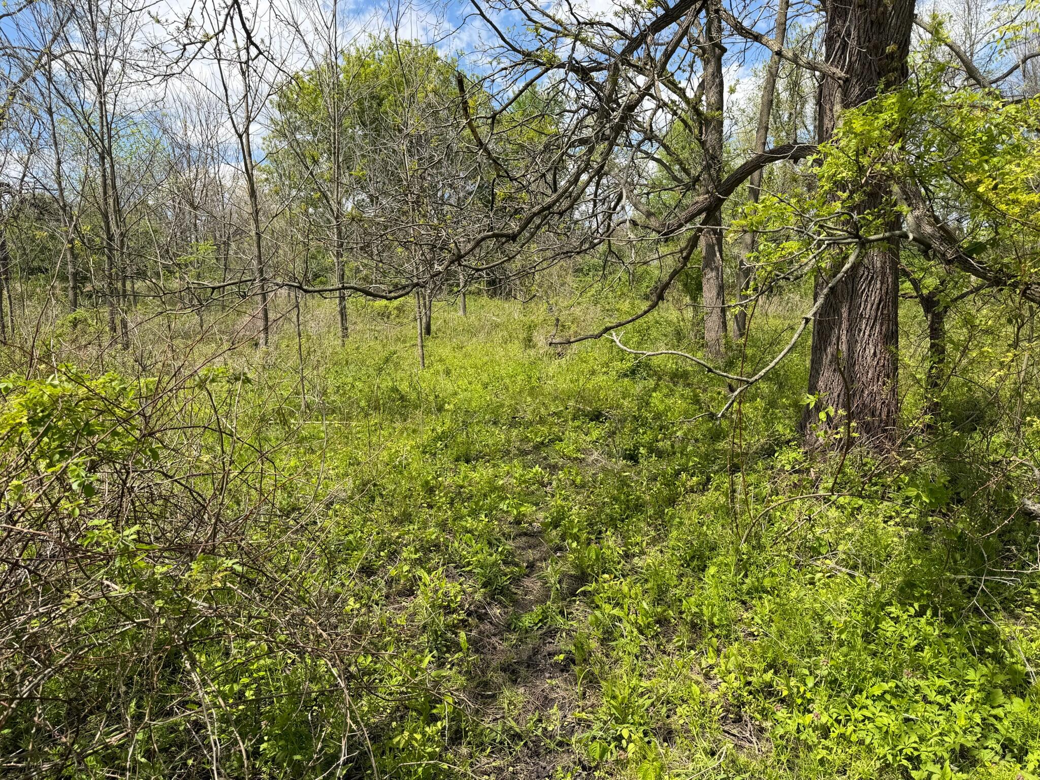 6 Bunkerhill Road Jackson, MI 49201 - Photo 23 of 23 IMG_2342