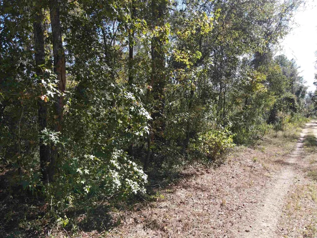 $27,500 | 0 Northwest 22nd Terrace, Jasper, FL 32052