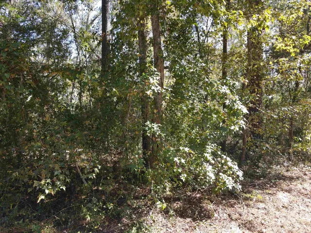 $27,500 | 0 Northwest 22nd Terrace, Jasper, FL 32052