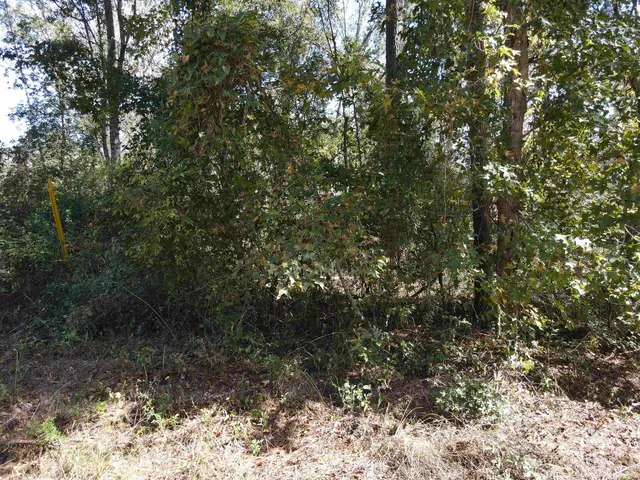 $27,500 | 0 Northwest 22nd Terrace, Jasper, FL 32052