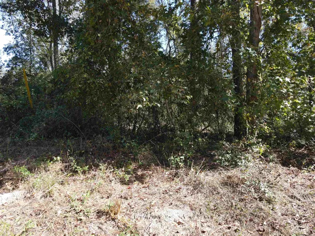 $27,500 | 0 Northwest 22nd Terrace, Jasper, FL 32052