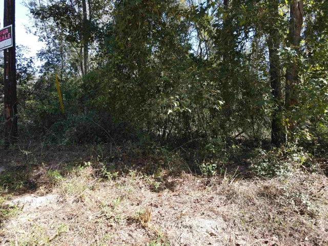 $27,500 | 0 Northwest 22nd Terrace, Jasper, FL 32052