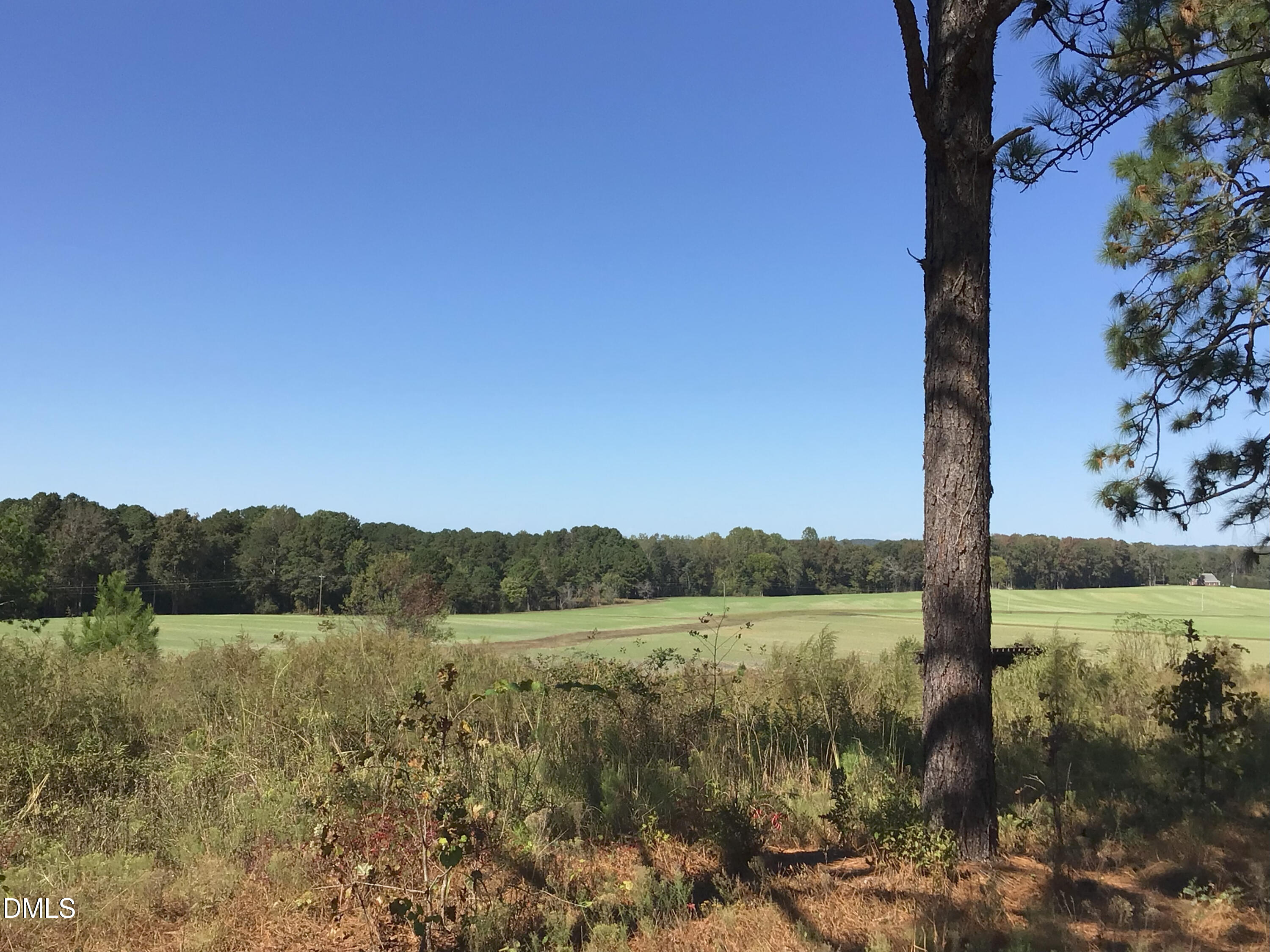 0 McNeill Hobbs Road Bunnlevel, NC 28323 - Photo 20 of 27 IMG_7677