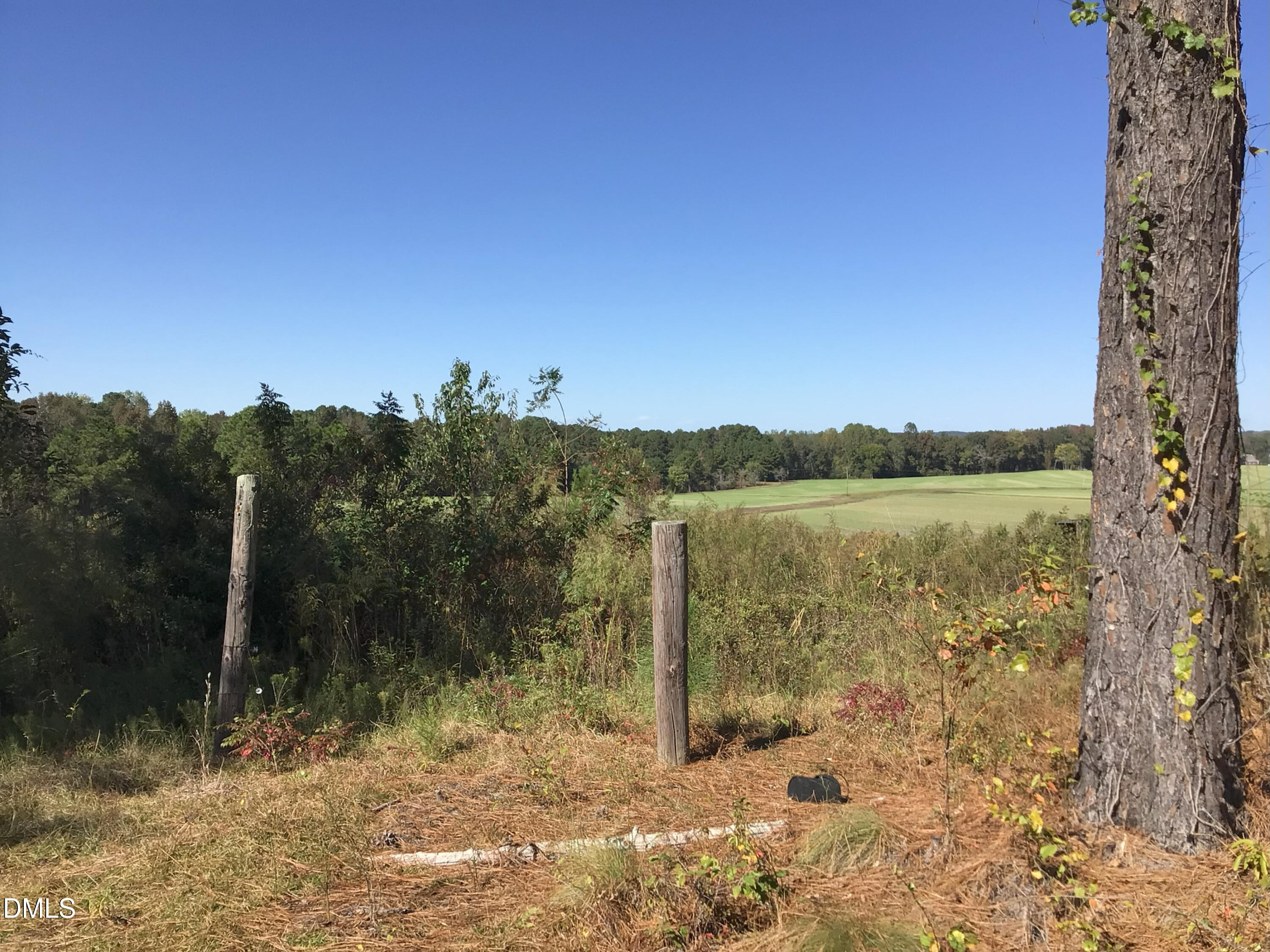 0 McNeill Hobbs Road Bunnlevel, NC 28323 - Photo 25 of 27 IMG_7686