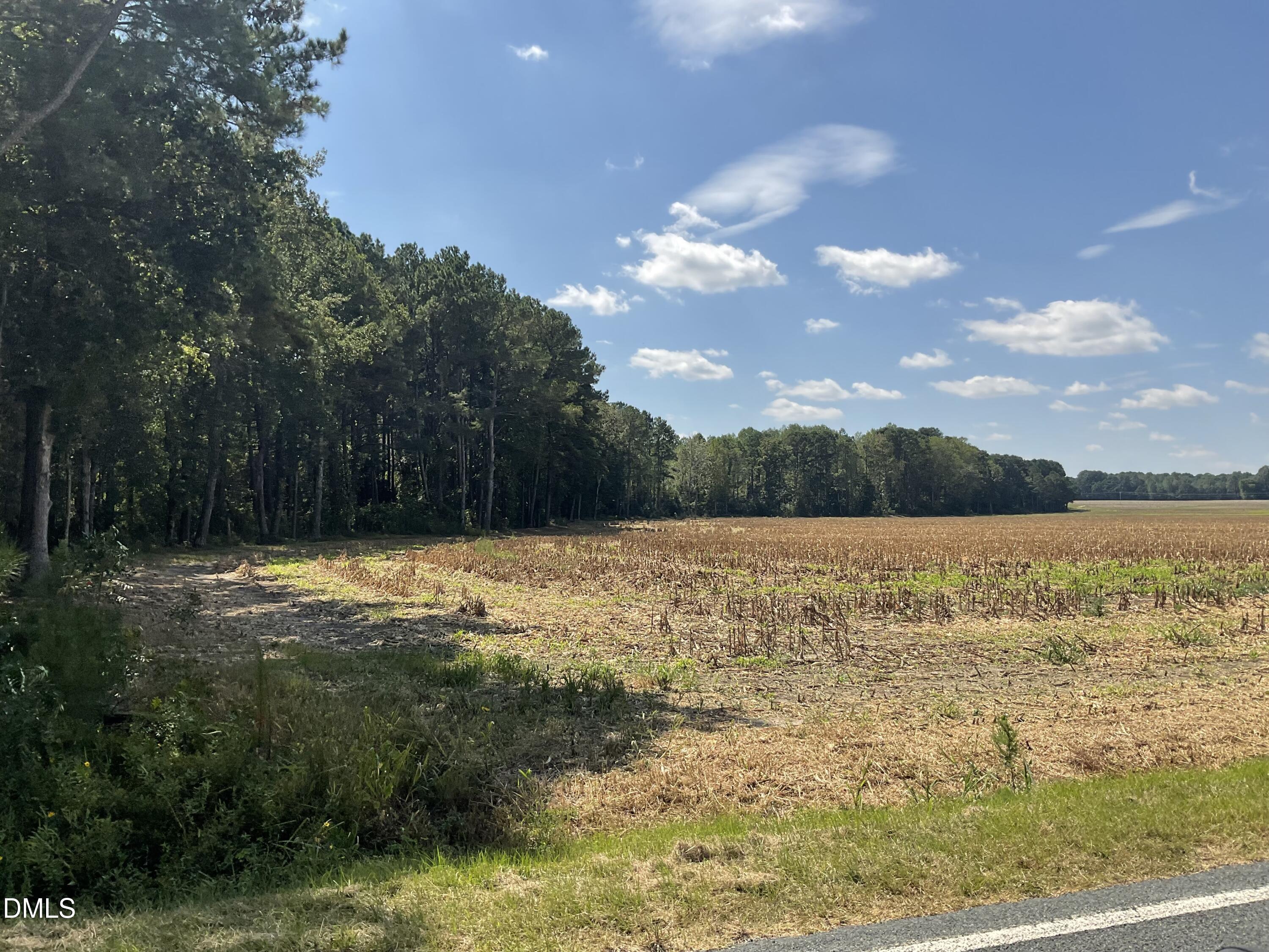 0 McNeill Hobbs Road Bunnlevel, NC 28323 - Photo 8 of 27 210 ac (2)