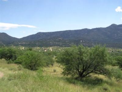 5346 East Edwin Road Tucson, AZ 85739 - Photo 8 of 10 Gallery Image 8