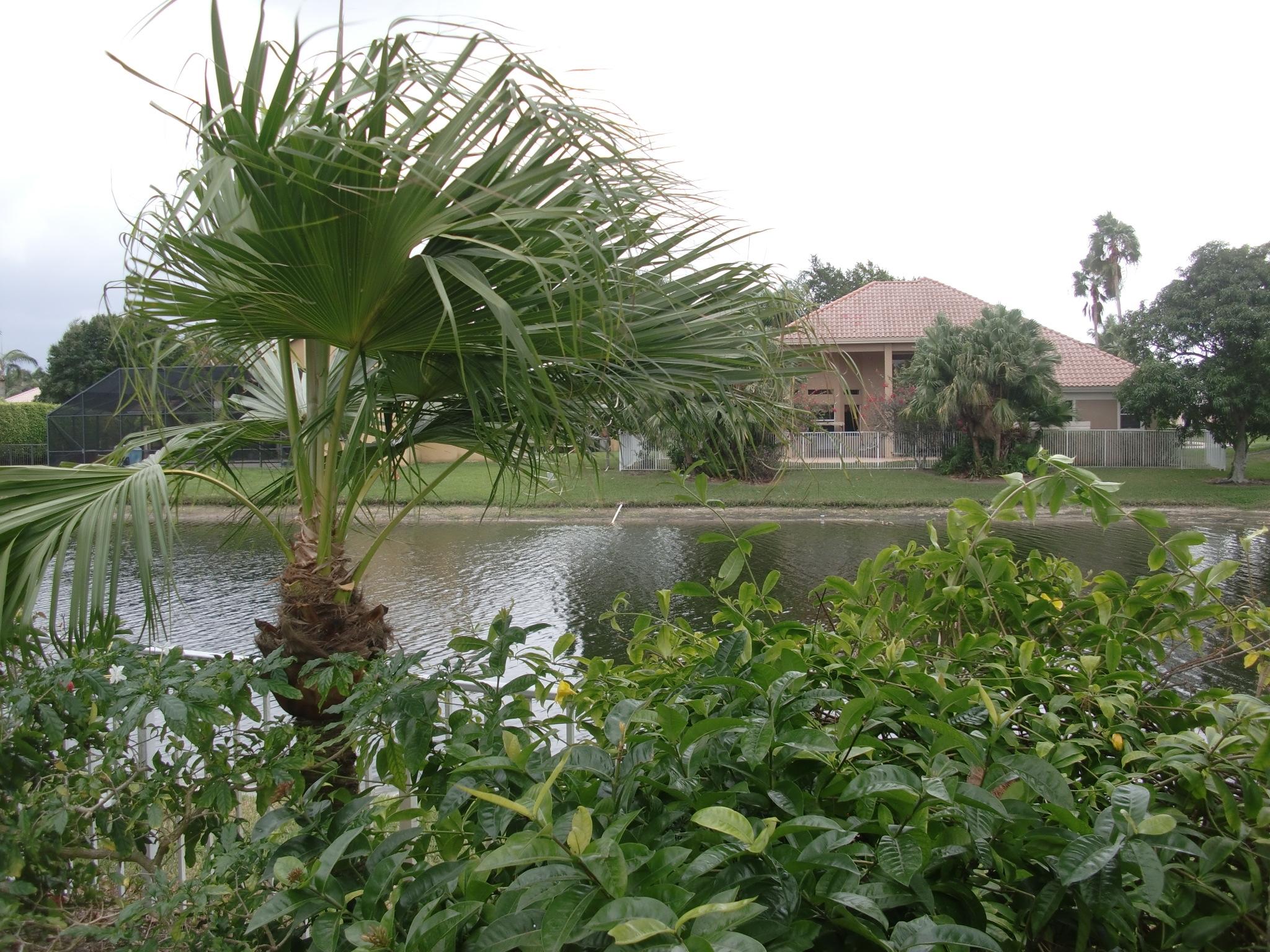 17296 Hampton Boulevard Boca Raton, FL 33496 - Photo 6 of 23 CIMG8019