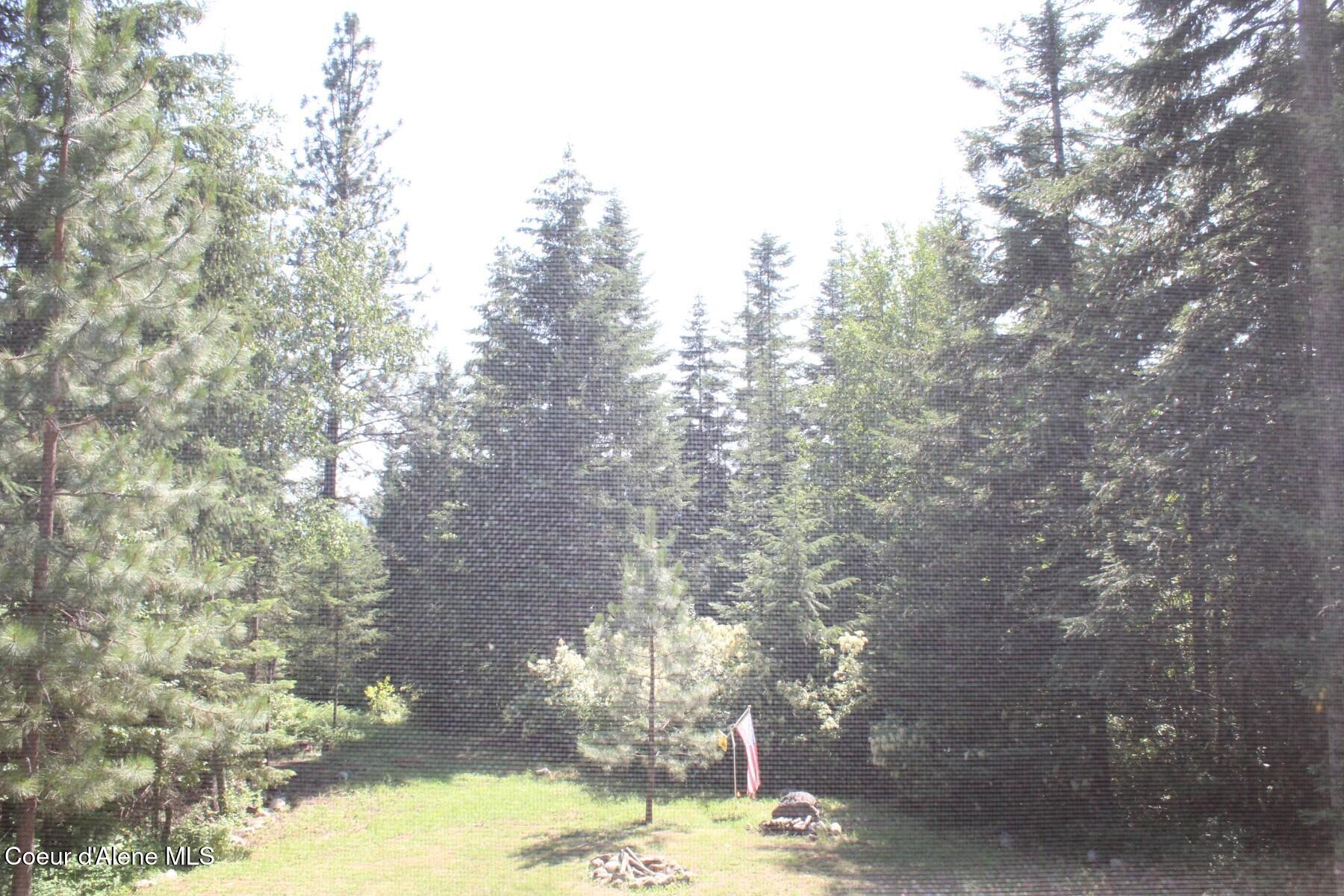 788 Gold Cup Mountain Road Laclede, ID 83841 - Photo 49 of 64 Southern Forest View