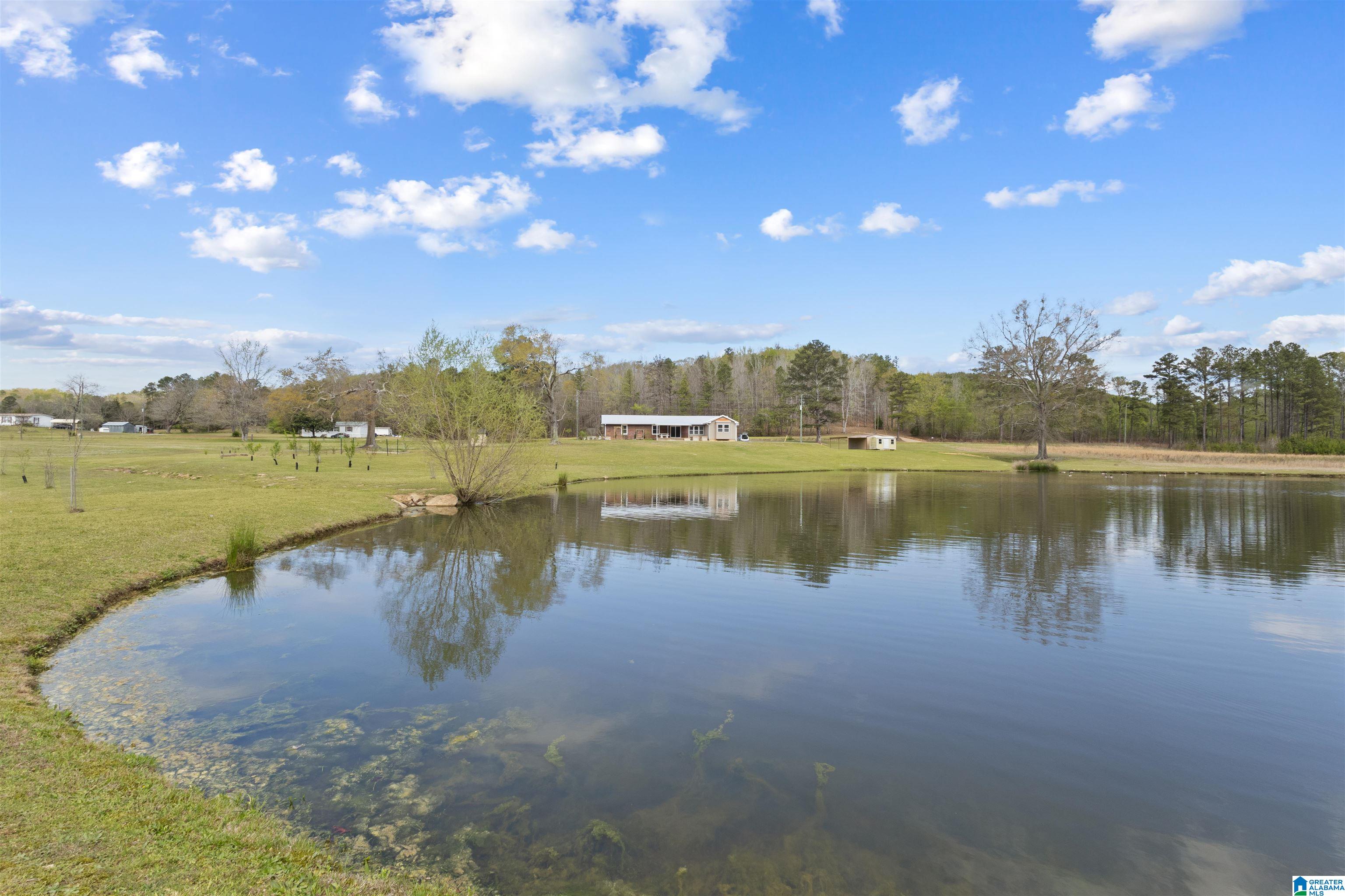 1502 Possum Trot Road Piedmont, AL 36272 - Photo 33 of 42