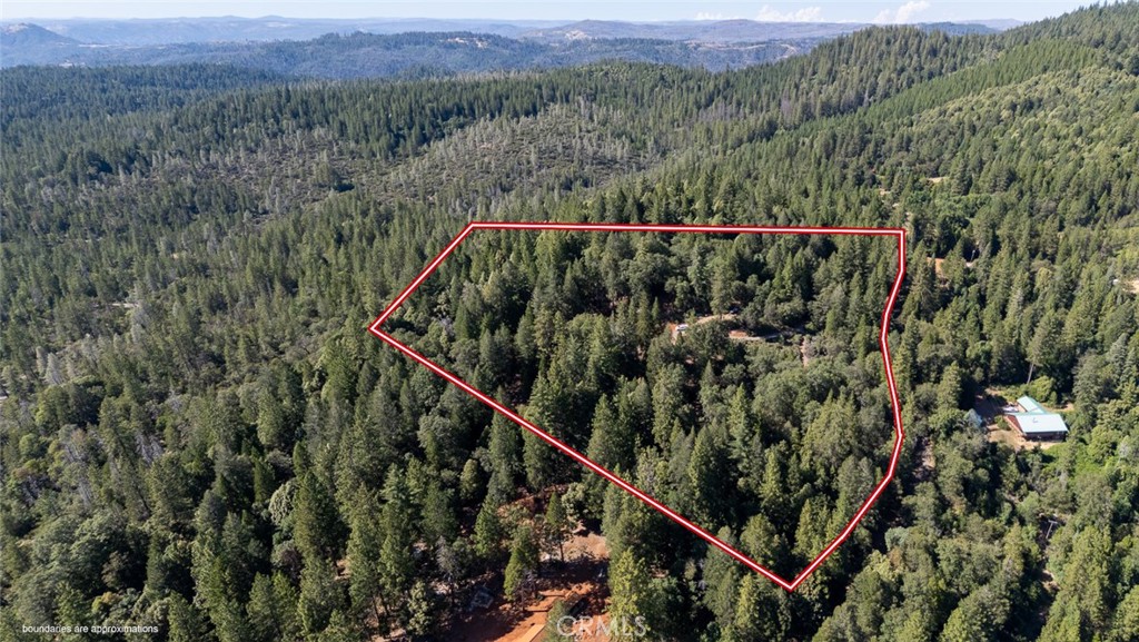 10647 Forbestown Road Forbestown, CA 95941 - Photo 66 of 74