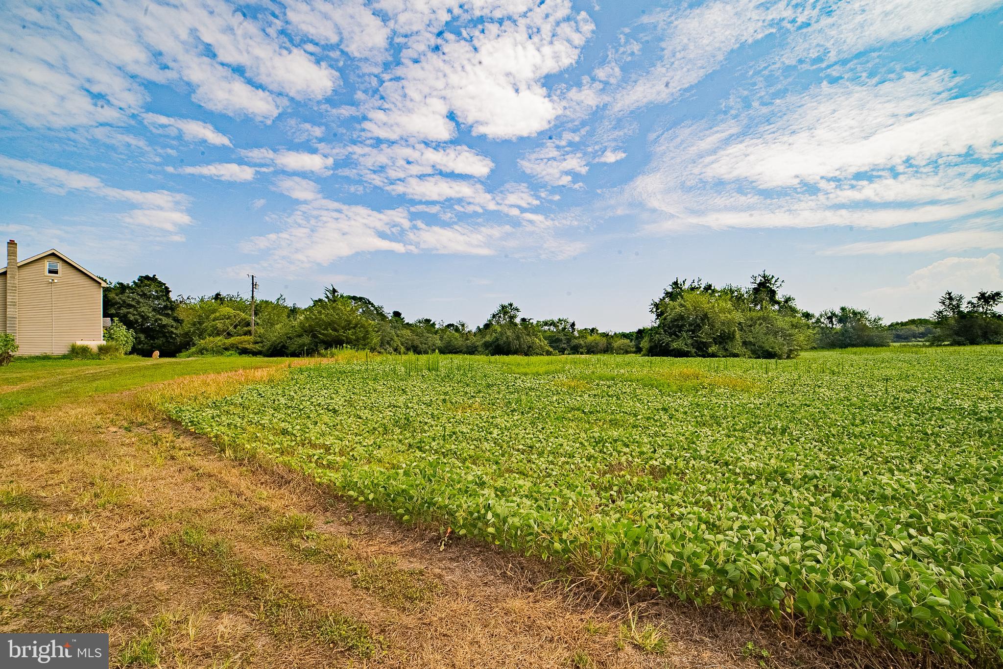 161 Lebanon Road Bridgeton, NJ 08302 - Photo 20 of 20 Gallery Image 20