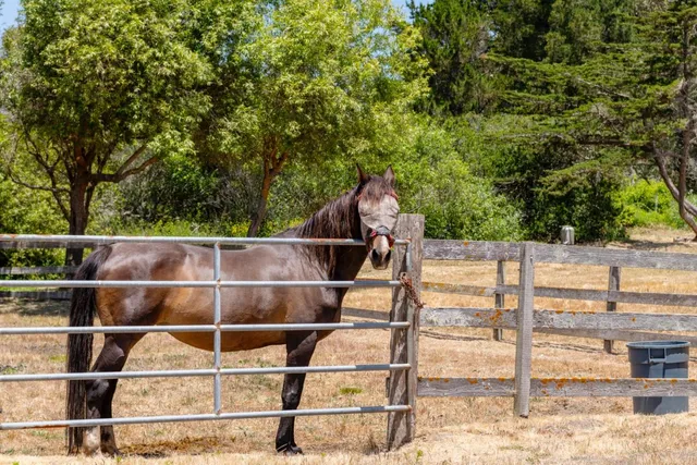 a view of a swimming pool with a yard