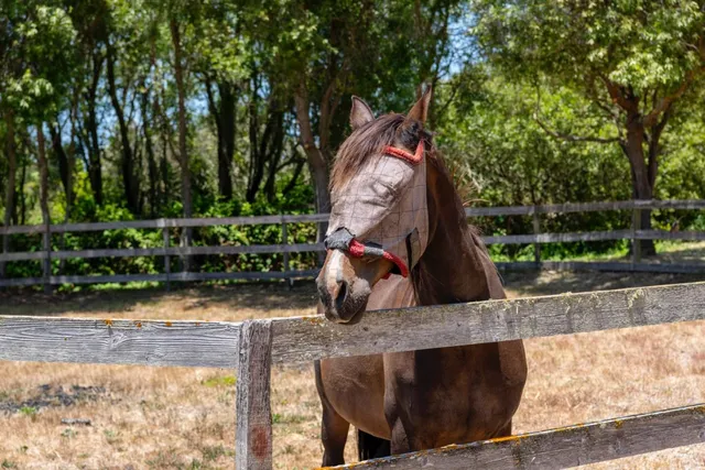 a view of entryway with a elevator