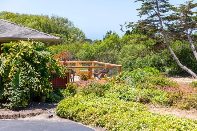 a view of a house with a large tree and wooden fence