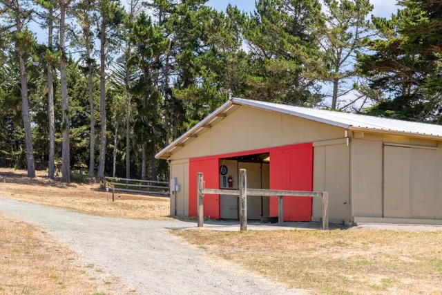 a view of a terrace with trees