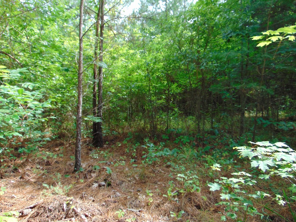 0 Pinhook Road Delano, TN 37325 - Photo 20 of 35
