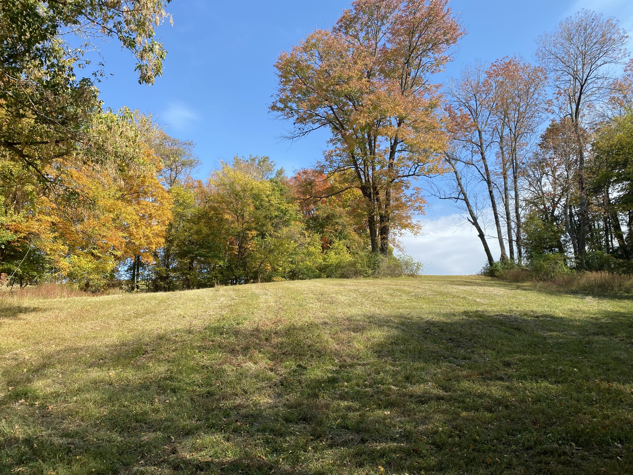 13 Hickory Point Road Clarksville, TN 37043 - Photo 13 of 14 a view of yard with trees