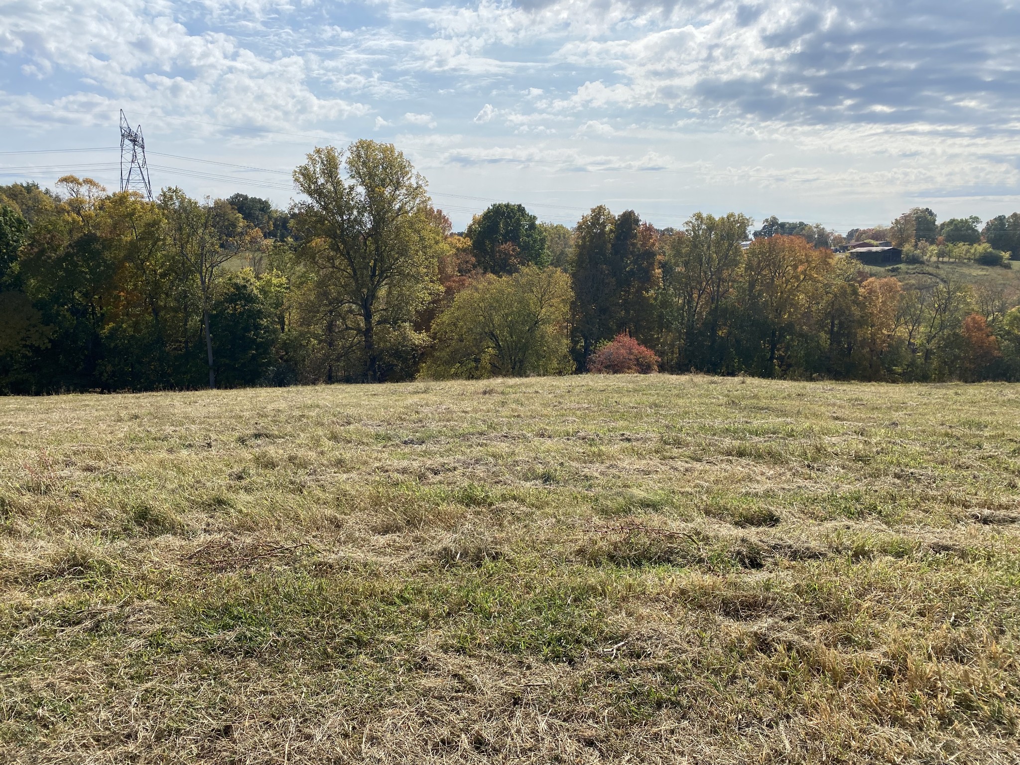 13 Hickory Point Road Clarksville, TN 37043 - Photo 10 of 14 a view of hard wood floor with a building in the background