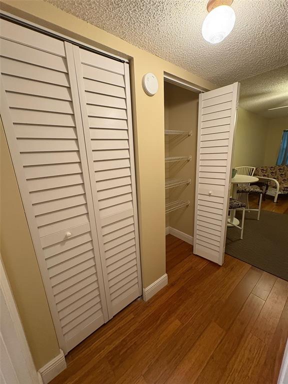 1250 South Pinellas Avenue, Unit 411 Tarpon Springs, FL 34689 - Photo 4 of 29 a view of a hallway with wooden floor and closet