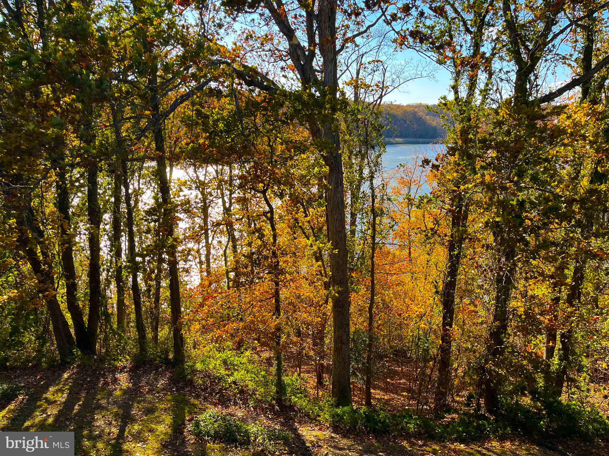 2900 Shipmaster Way, Unit 312 Annapolis, MD 21401 - Photo 32 of 56