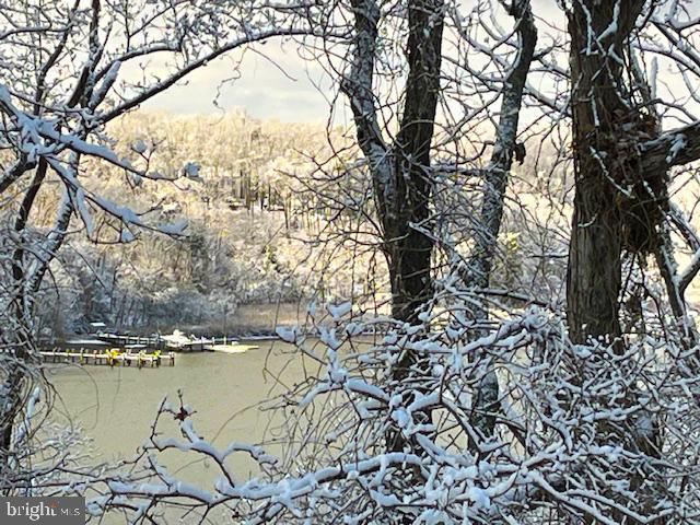 2900 Shipmaster Way, Unit 312 Annapolis, MD 21401 - Photo 35 of 56 a view of lake with a tree