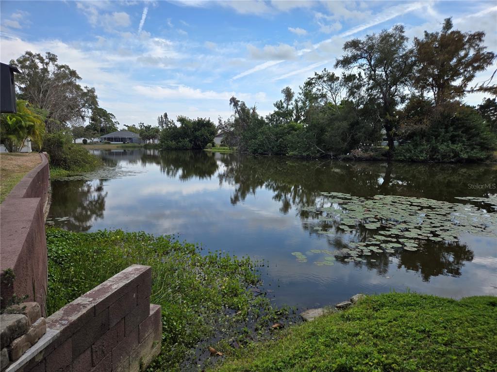 3534 Tundra Road Venice, FL 34293 - Photo 39 of 43 a view of a lake from a yard