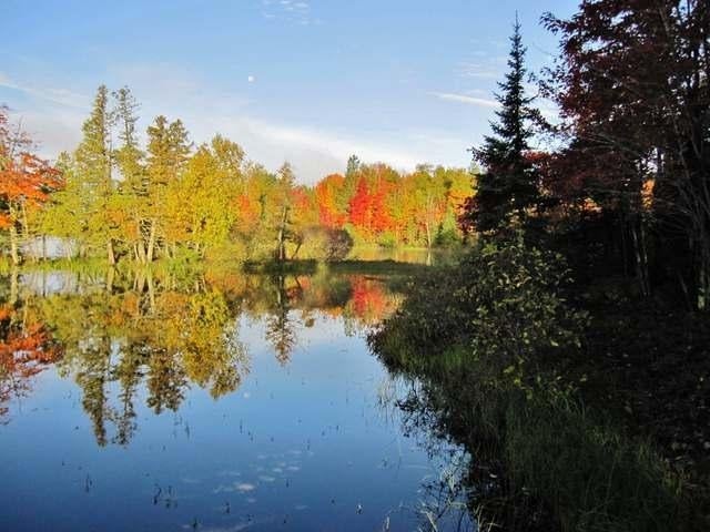 N8998 Little Beaver Road Tomahawk, WI 54487 - Photo 14 of 16 Gallery Image 14